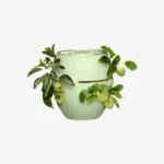 Green Apple Multi-purpose Balm