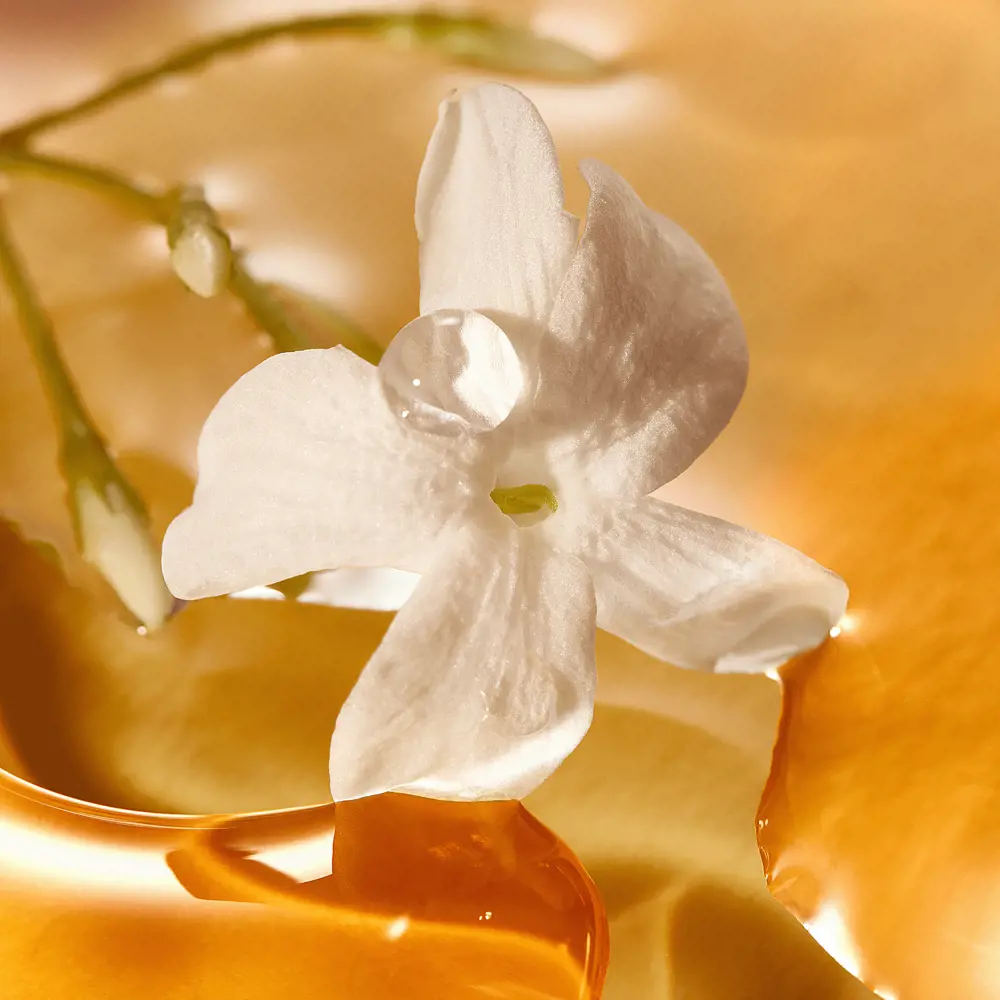 Milk & Honey Gold Enchanting Jasmine Extract Hand and Body Cream
