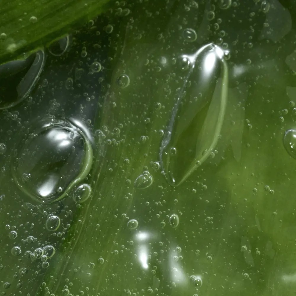 Smoothing Shaving Gel Containing Feminelle Aloe Vera